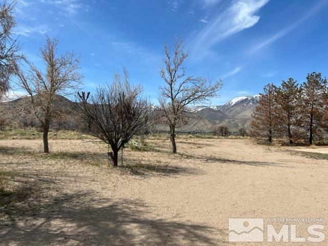 38 Burcham Flat Road Walker, CA 96107 - Photo 16 of 40 a view of a yard covered with snow in front of house