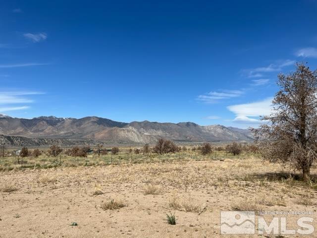 38 Burcham Flat Road Walker, CA 96107 - Photo 20 of 40 a view of mountain with lake view