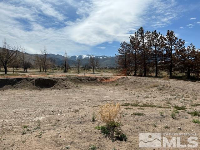 38 Burcham Flat Road Walker, CA 96107 - Photo 2 of 40 a view of open space with city view