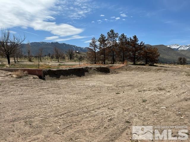 38 Burcham Flat Road Walker, CA 96107 - Photo 21 of 40 a view of a lake with a mountain