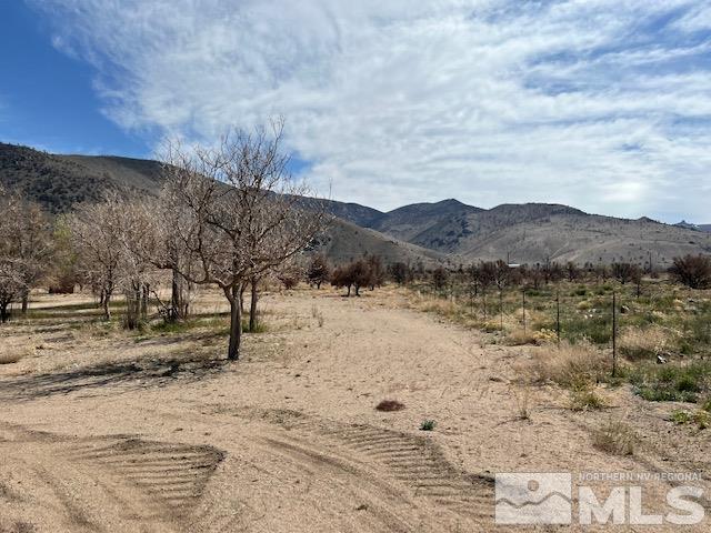 38 Burcham Flat Road Walker, CA 96107 - Photo 22 of 40 a view of a dry yard covered with snow