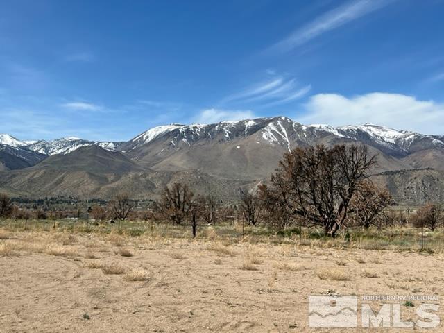 38 Burcham Flat Road Walker, CA 96107 - Photo 23 of 40 a view of a dry yard with lots of trees