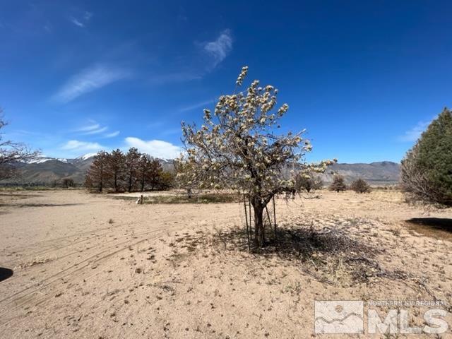 38 Burcham Flat Road Walker, CA 96107 - Photo 26 of 40 a view of a lake with a mountain