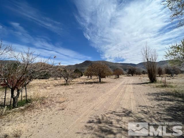 38 Burcham Flat Road Walker, CA 96107 - Photo 28 of 40 a view of a dry yard covered with snow in the background