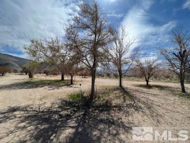 38 Burcham Flat Road Walker, CA 96107 - Photo 30 of 40 a view of dirt yard with trees