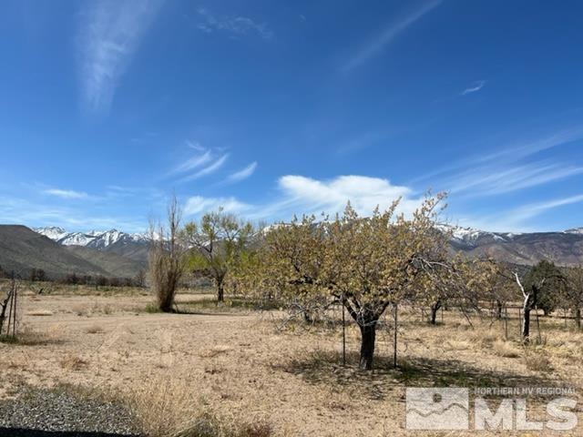 38 Burcham Flat Road Walker, CA 96107 - Photo 31 of 40 a view of a yard with a house in the background