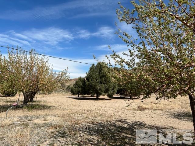 38 Burcham Flat Road Walker, CA 96107 - Photo 32 of 40 a view of snow covered with trees