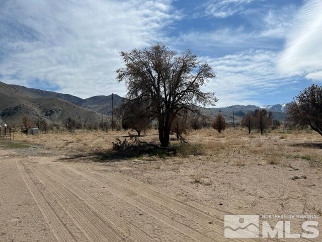 38 Burcham Flat Road Walker, CA 96107 - Photo 33 of 40 a view of backyard with green space