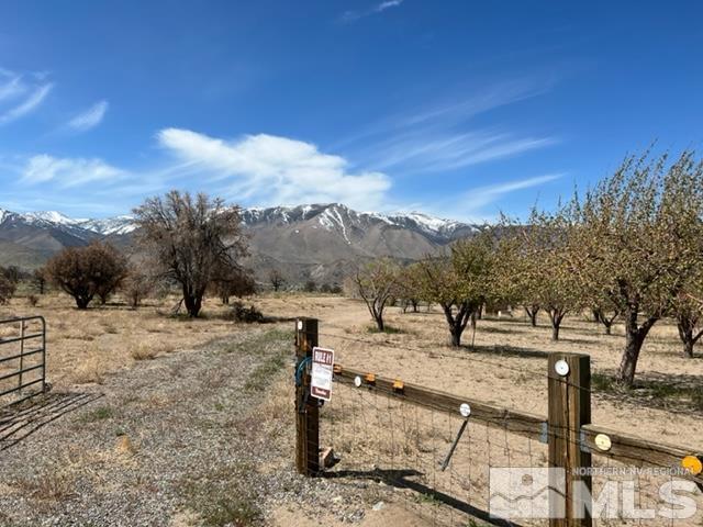 38 Burcham Flat Road Walker, CA 96107 - Photo 34 of 40 a view of a backyard of the house