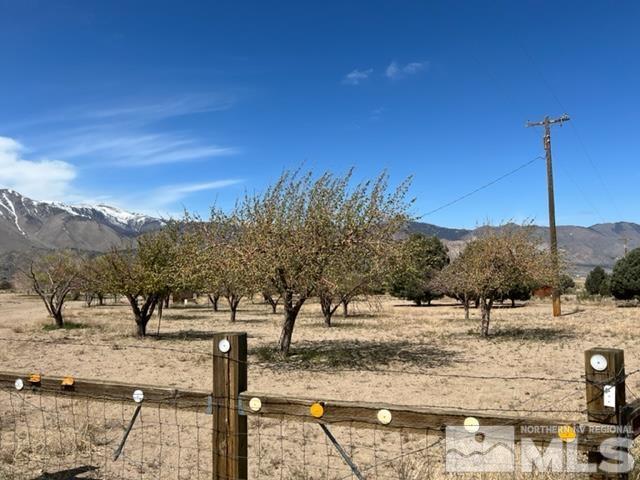 38 Burcham Flat Road Walker, CA 96107 - Photo 35 of 40 a view of a yard with a tree