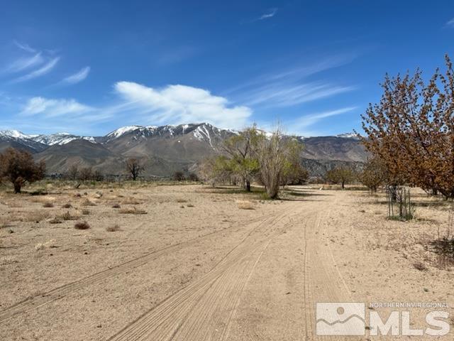 38 Burcham Flat Road Walker, CA 96107 - Photo 38 of 40 a view of dirt yard with a large tree