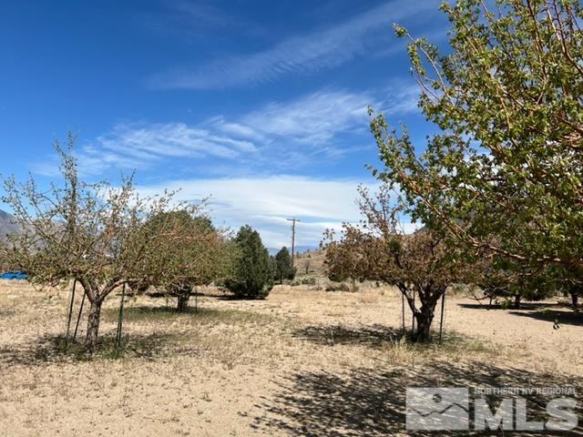 38 Burcham Flat Road Walker, CA 96107 - Photo 40 of 40