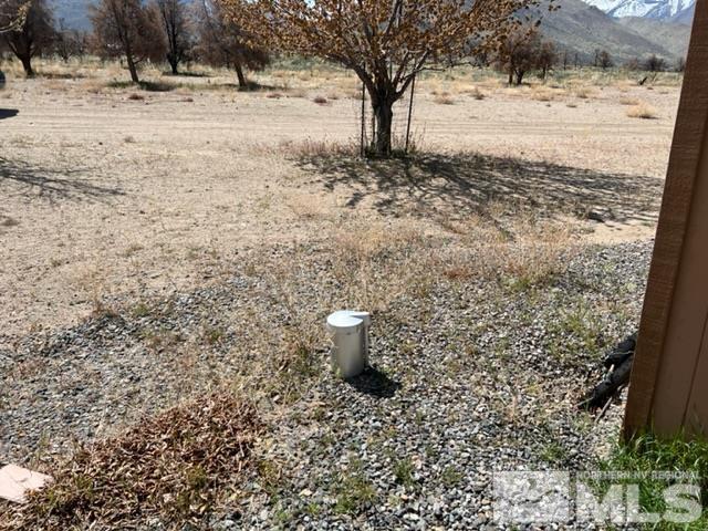 38 Burcham Flat Road Walker, CA 96107 - Photo 4 of 40 a view of a yard covered with snow