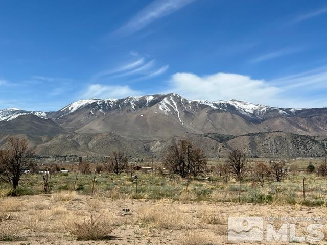 38 Burcham Flat Road Walker, CA 96107 - Photo 5 of 40 a view of a dry yard with mountains in the background