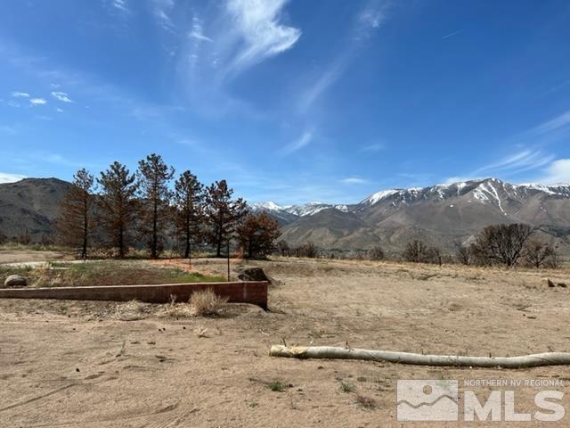 38 Burcham Flat Road Walker, CA 96107 - Photo 6 of 40 a view of a yard with mountain view