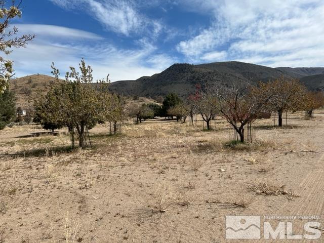 38 Burcham Flat Road Walker, CA 96107 - Photo 7 of 40 a view of a yard with a tree