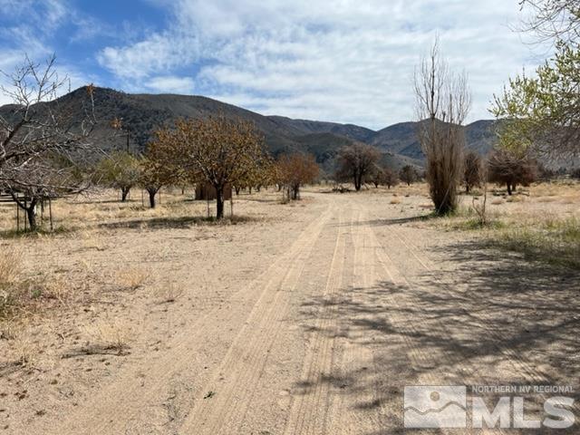 38 Burcham Flat Road Walker, CA 96107 - Photo 10 of 40 a view of a yard covered with snow in the front