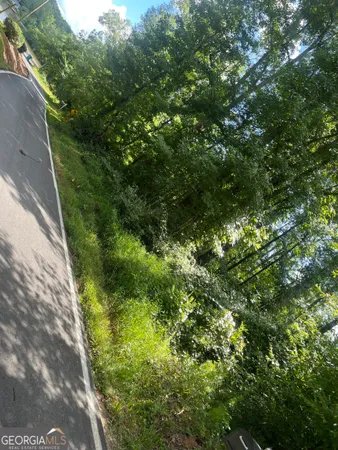 $7,400 | 0 Southern Shores, Jackson, GA 30233