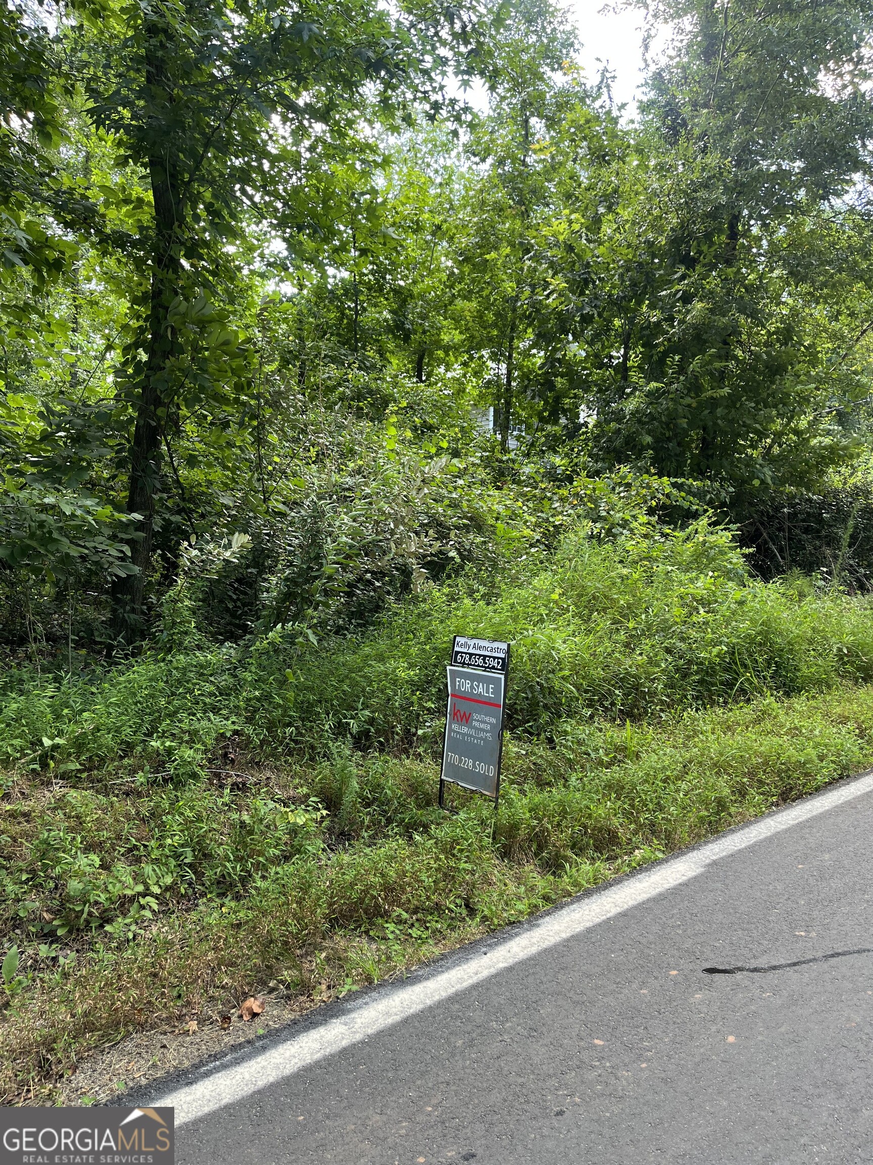0 Southern Shores Jackson, GA 30233 - Photo 2 of 5