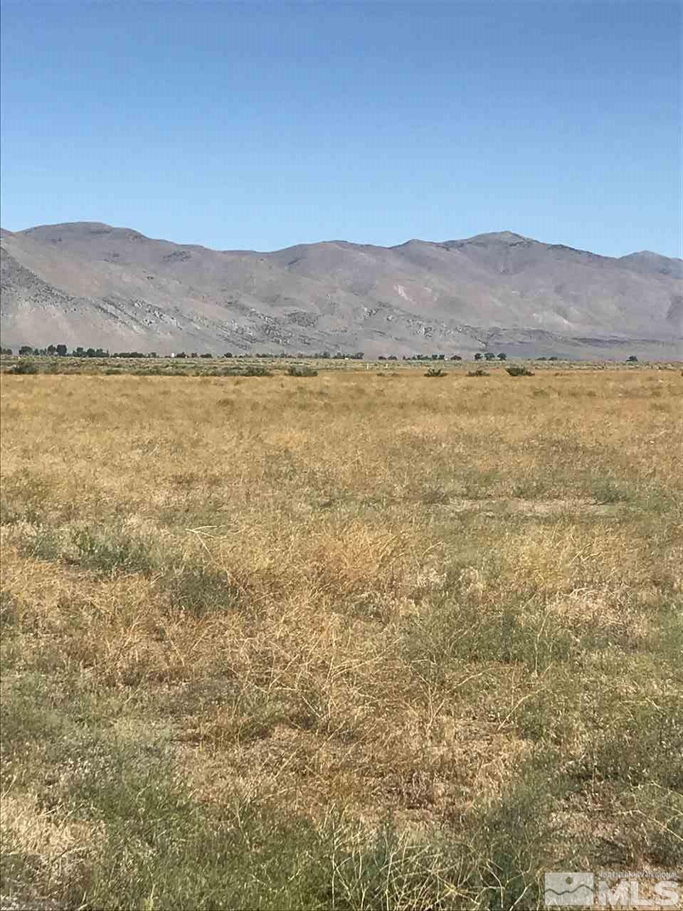 140 Sundance Lane Smith, NV 89430 - Photo 5 of 7 Photo 5