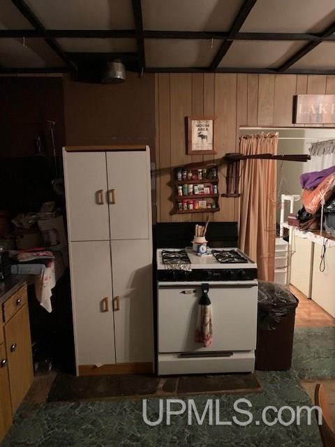 33379 Lake Roland Road Toivola, MI 49965 - Photo 37 of 37 Gallery Image 37