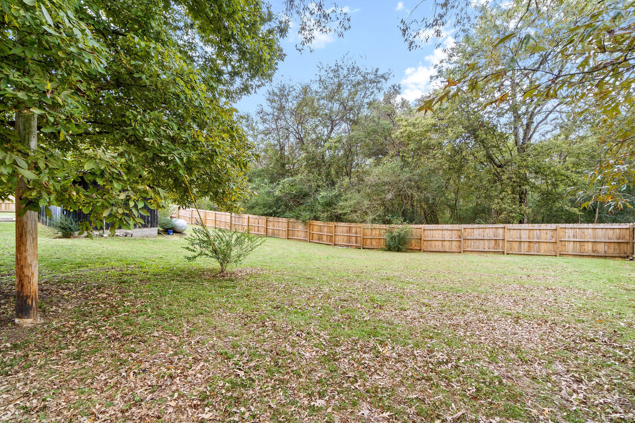 4696 Chapel Hill Road Southside, TN 37171 - Photo 36 of 36 a view of a yard