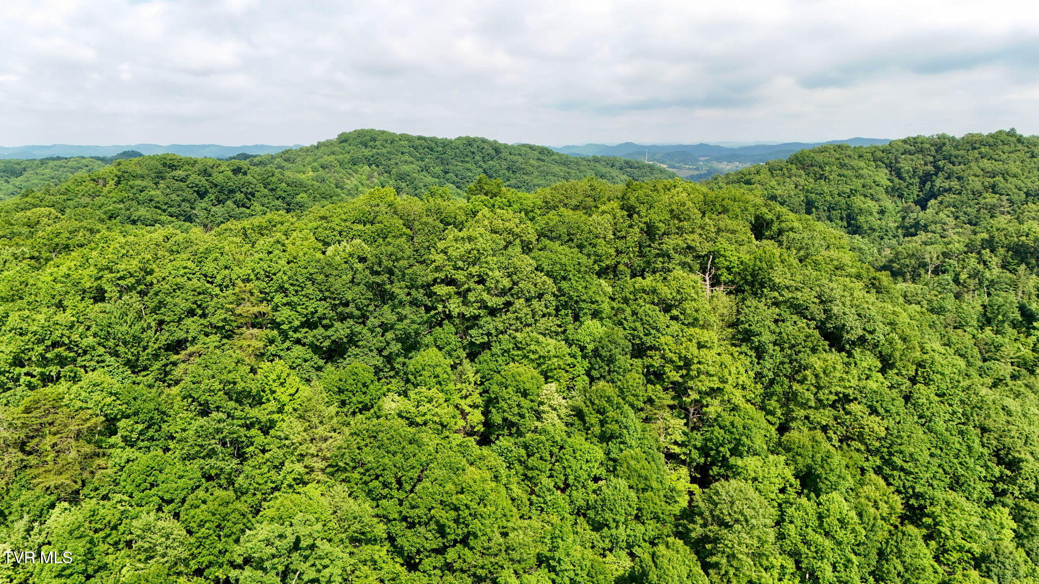 2523 Denton Valley Road, Unit 2 Bristol, TN 37620 - Photo 12 of 44 12