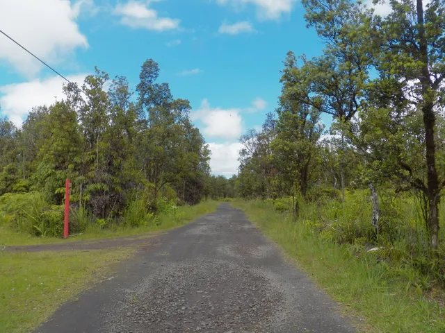 a view of a road with a yard