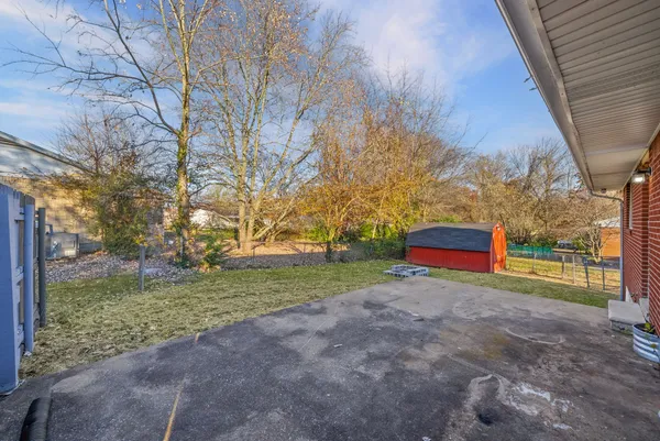 a view of a park with large trees