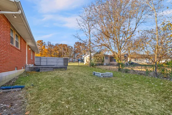 a view of backyard with tree