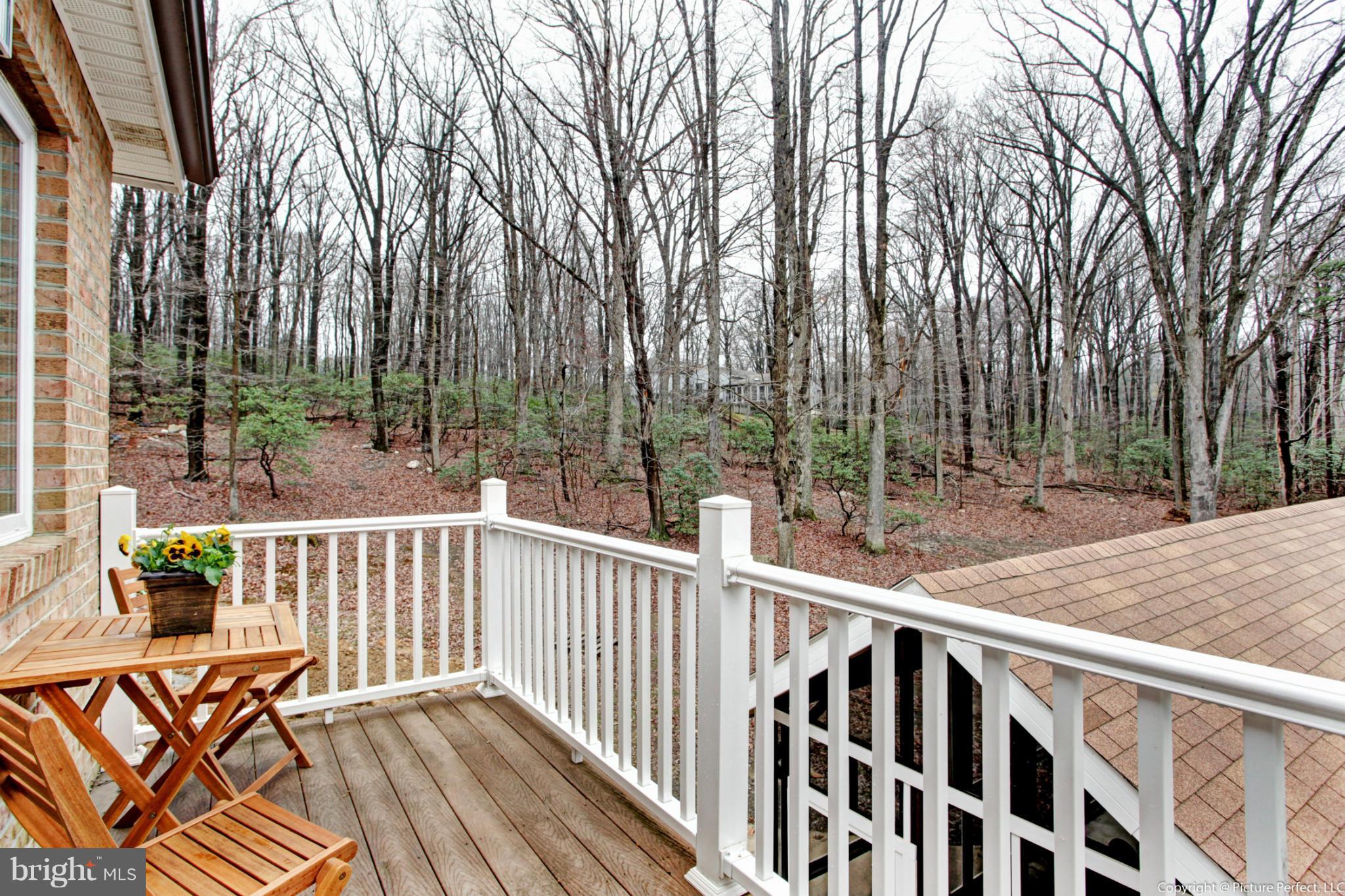 5225 Shookstown Road Frederick, MD 21702 - Photo 26 of 30 Balcony Off Master Bedroom