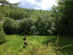 2689 Garfield Road Hyde Park, VT 05655 - Photo 25 of 35 Gallery Image 25