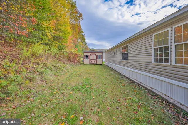 a view of a backyard with plants and large tree