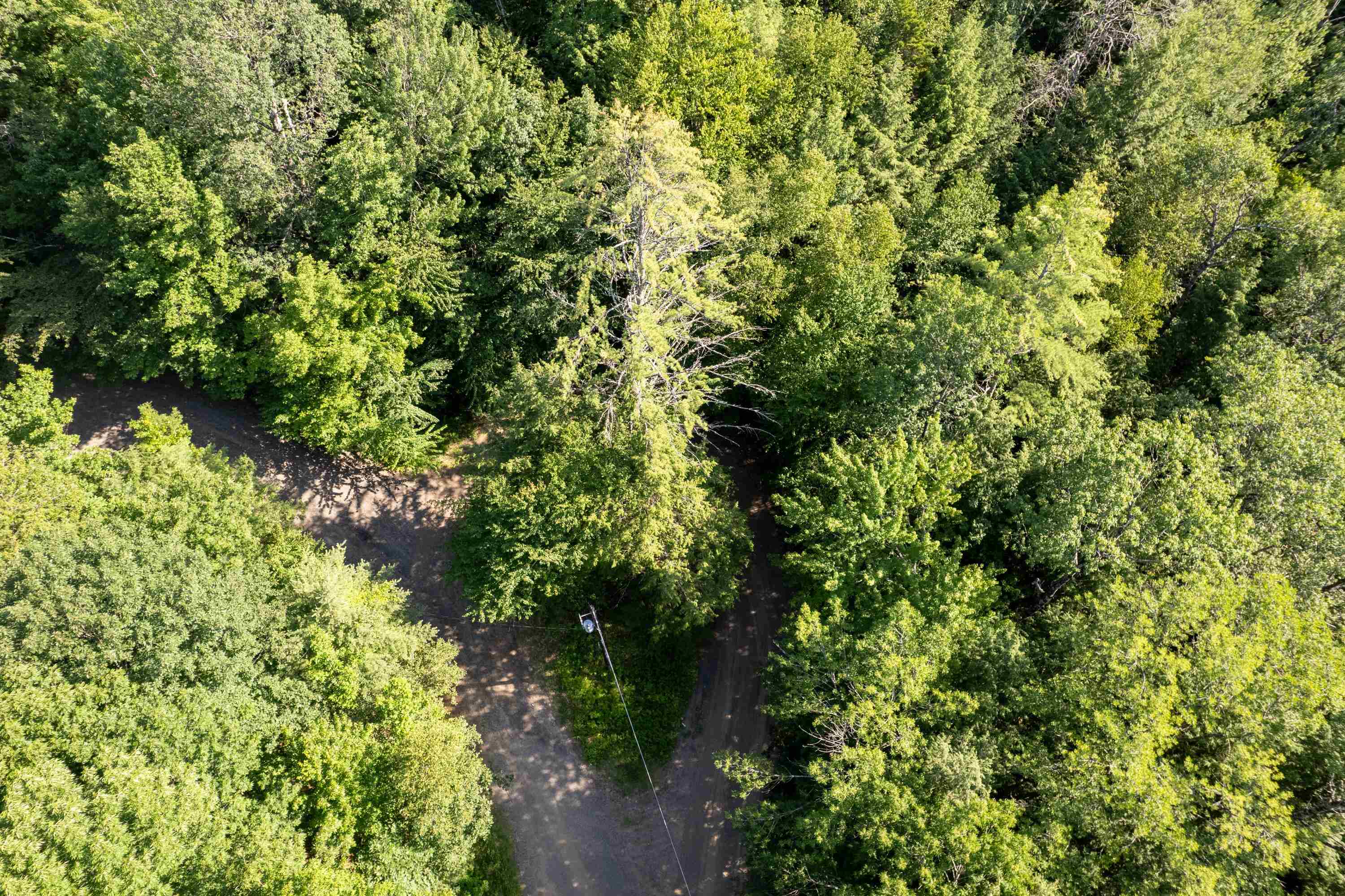 0 Morrill Circle Campton, NH 03223 - Photo 3 of 8