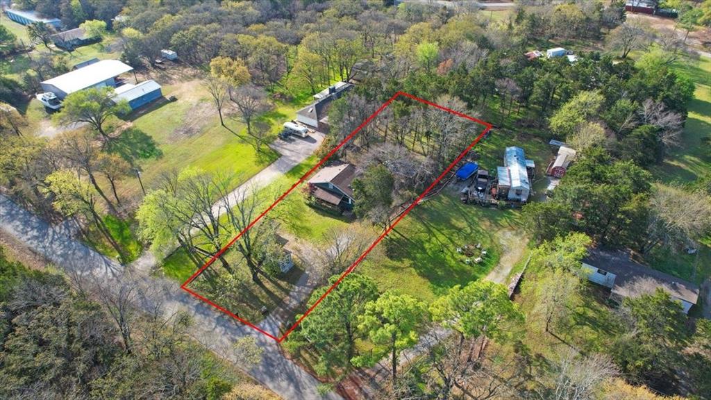 186 Mill Creek Resort Road Pottsboro, TX 75076 - Photo 38 of 40 a picture of flowers