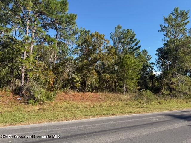 0 Lamson Avenue Spring Hill, FL 34608 - Photo 5 of 6