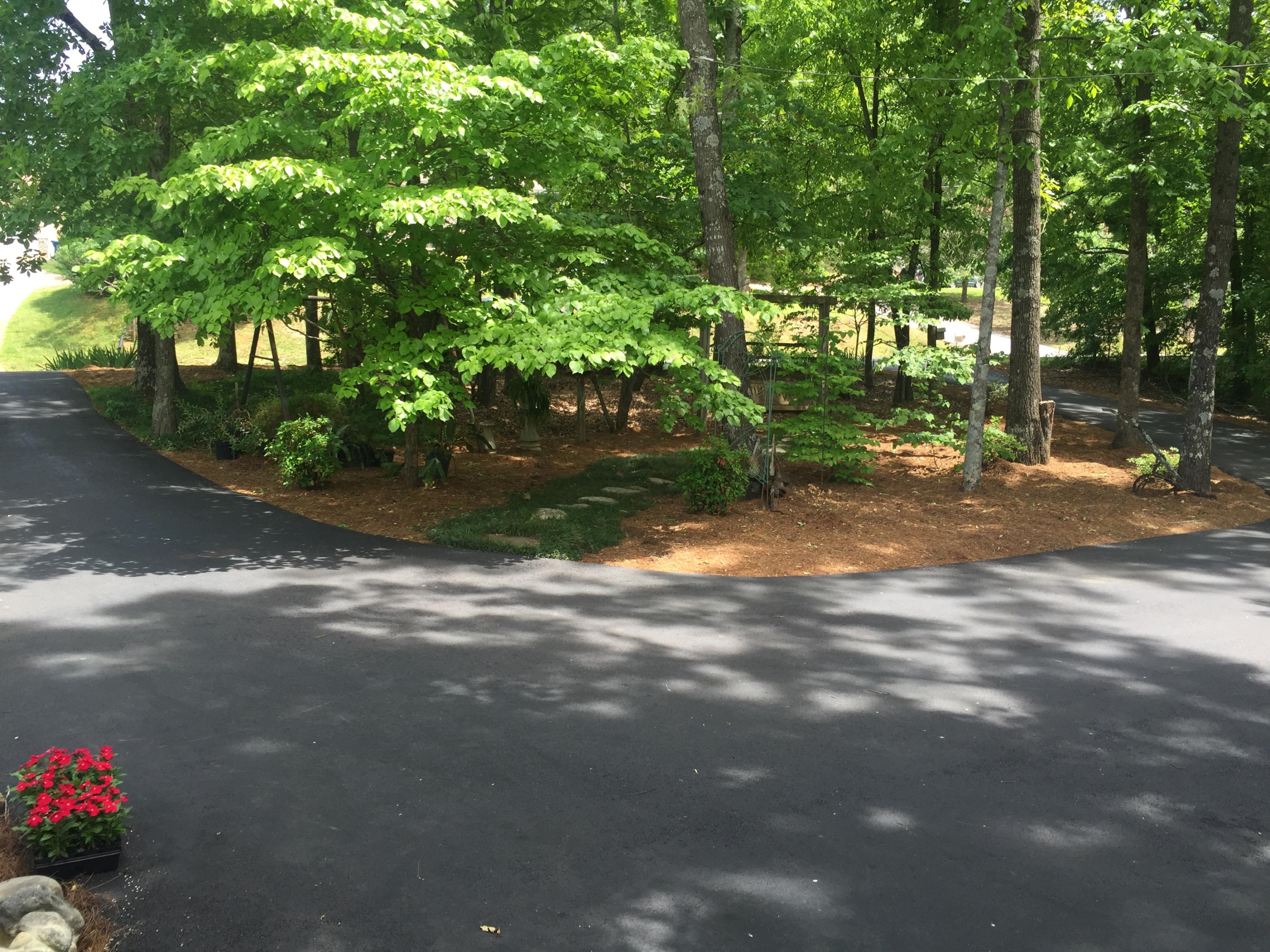 184 Potts Road Ringgold, GA 30736 - Photo 55 of 65 IMG_4419