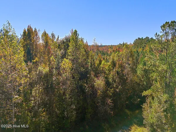 $52,000 | 24451 50th Maple Hill, Maple Hill, NC 28454