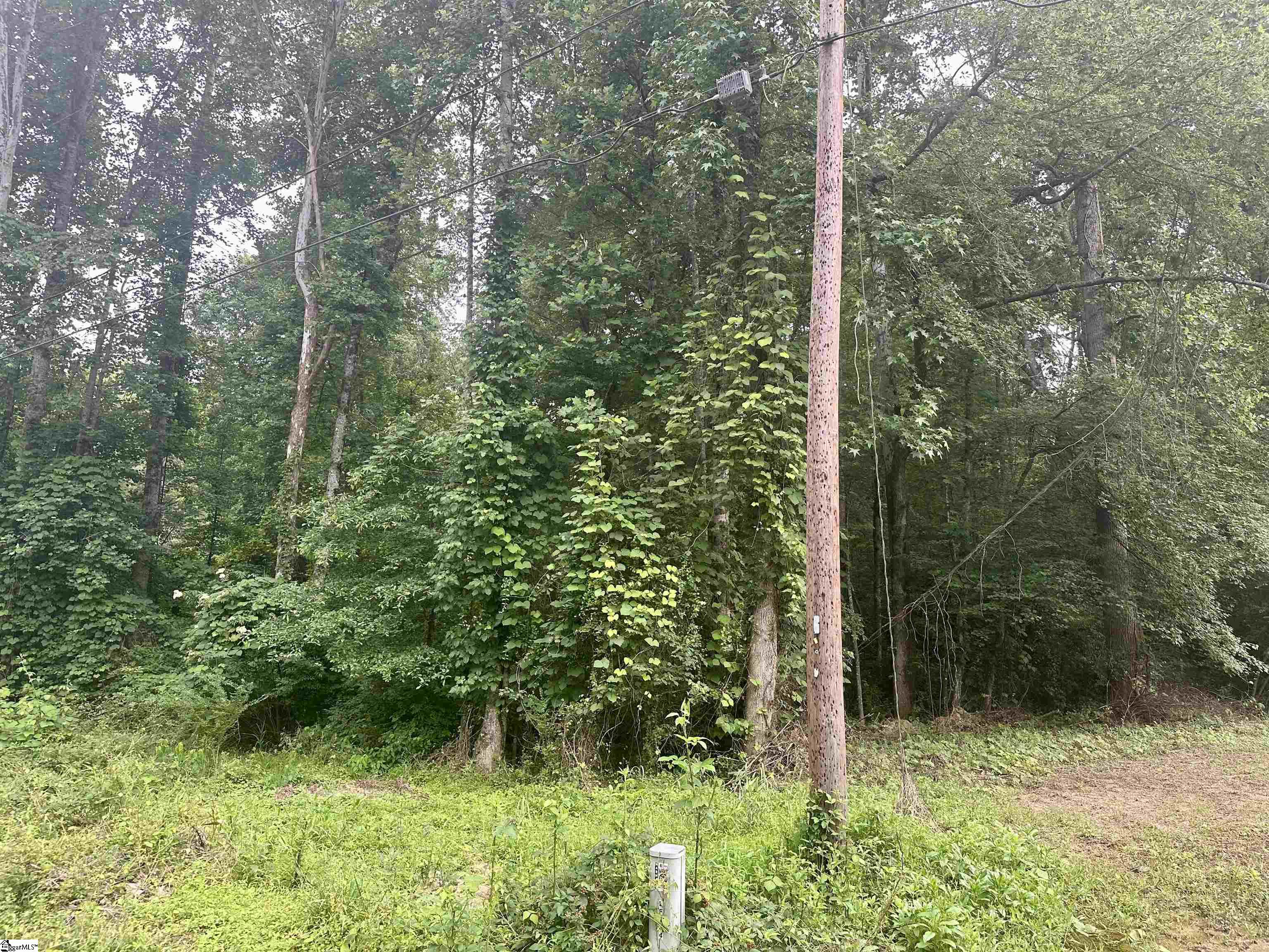 0 Dacusville Road Marietta, SC 29661 - Photo 2 of 5
