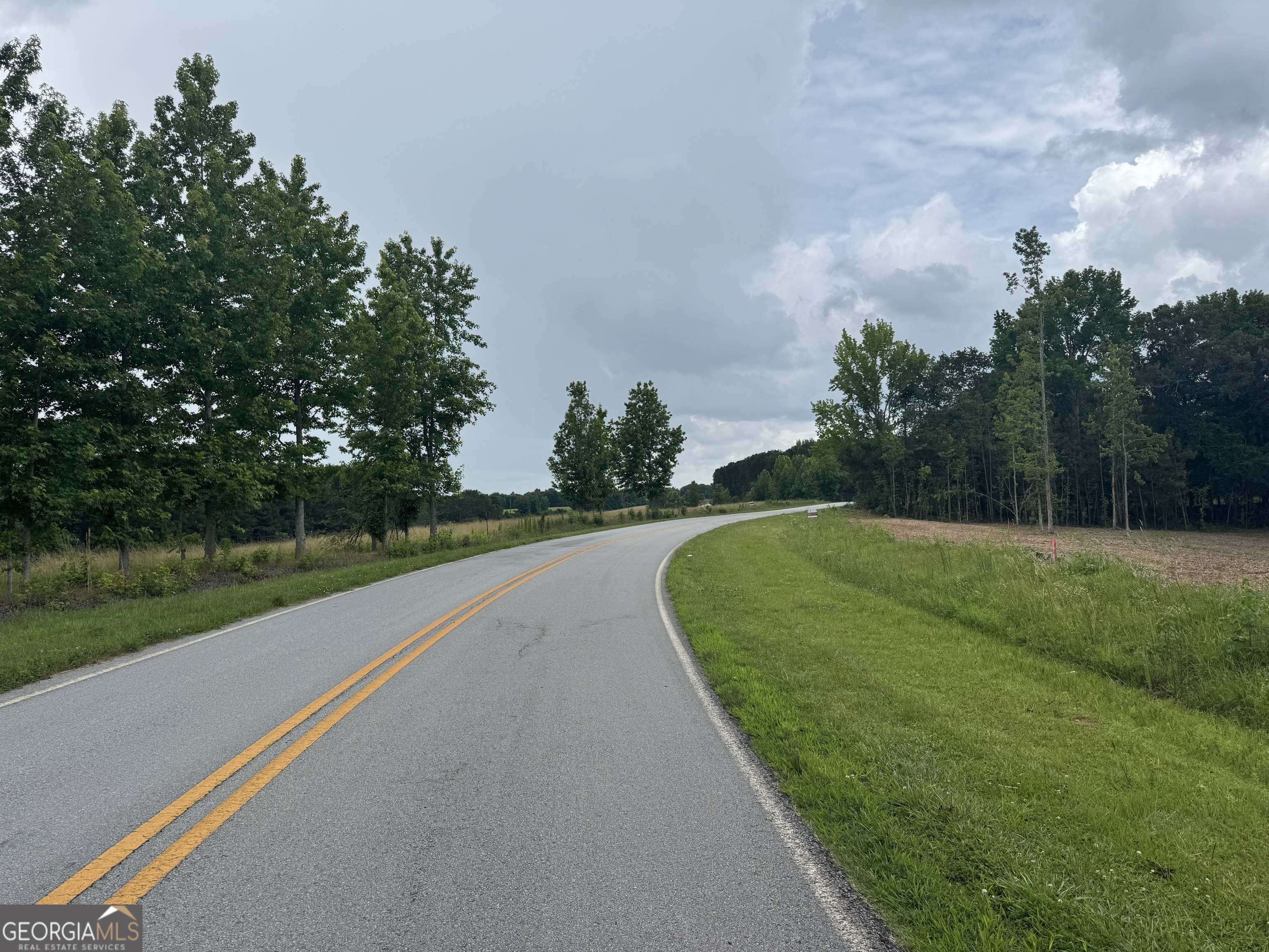 Lot 1 Happy Hollow Road Roopville, GA 30170 - Photo 1 of 1 a view of a street both of side forest