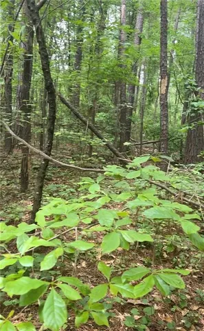 a bathroom with a small yard