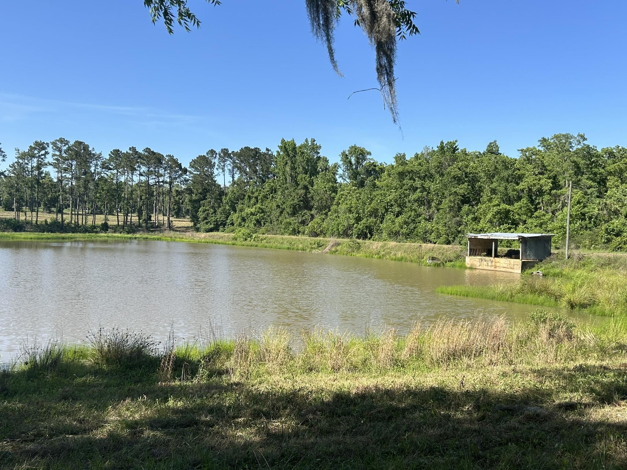 Xxx Ben Bostick Road Quincy, FL 32351 - Photo 12 of 20