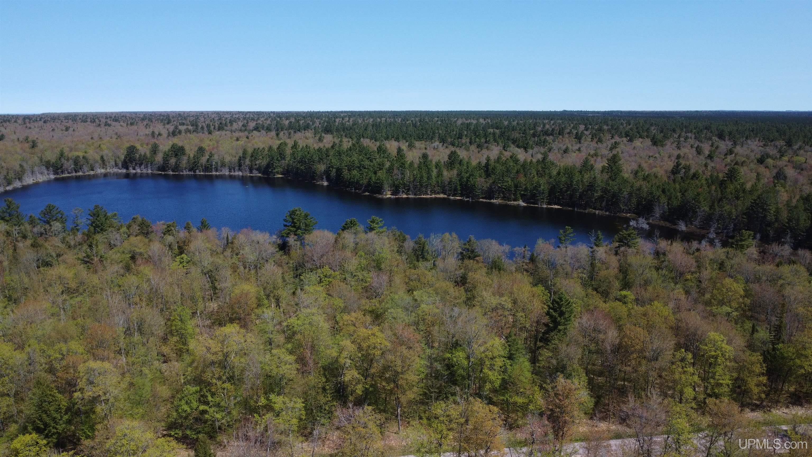 Off Adams Trail Shingleton, MI 49884 - Photo 32 of 46