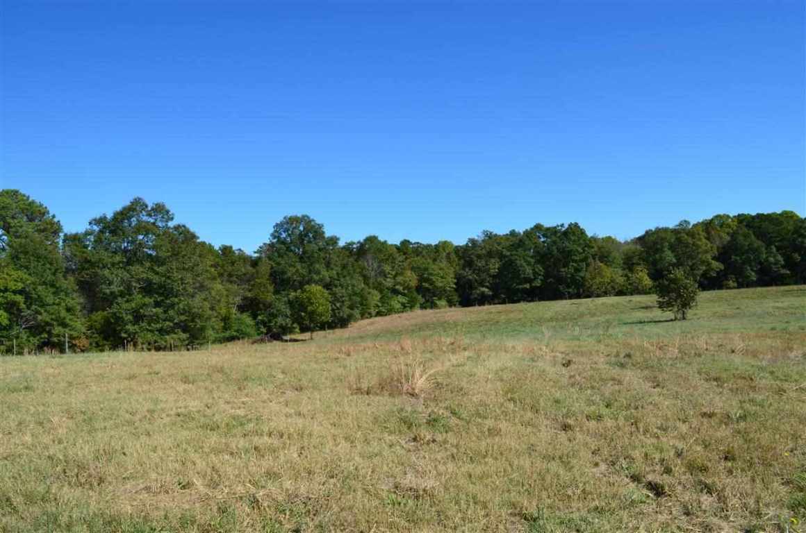 172-188 McCall Road, Unit HWY 252 Honea Path, SC 29654 - Photo 1 of 14 Gallery Image 1