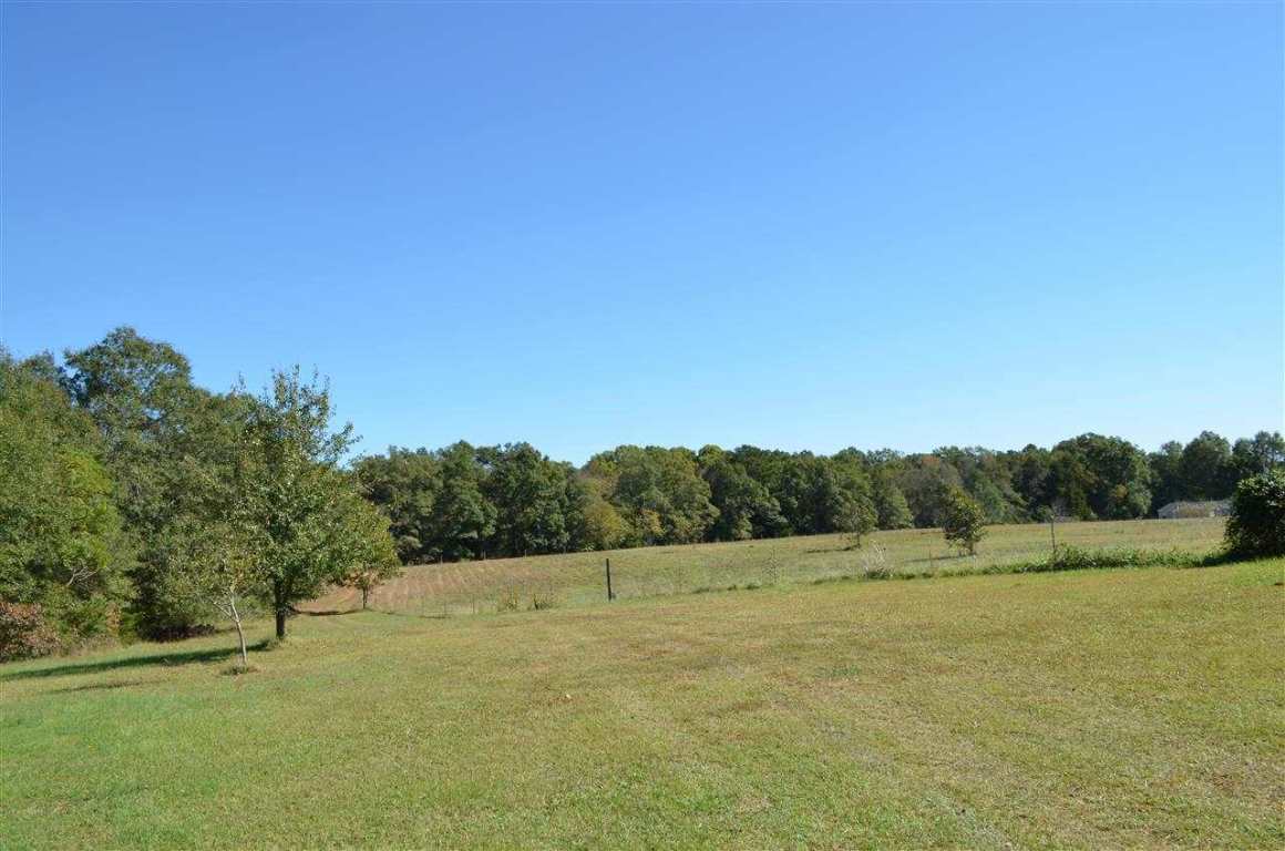 172-188 McCall Road, Unit HWY 252 Honea Path, SC 29654 - Photo 12 of 14 Gallery Image 12