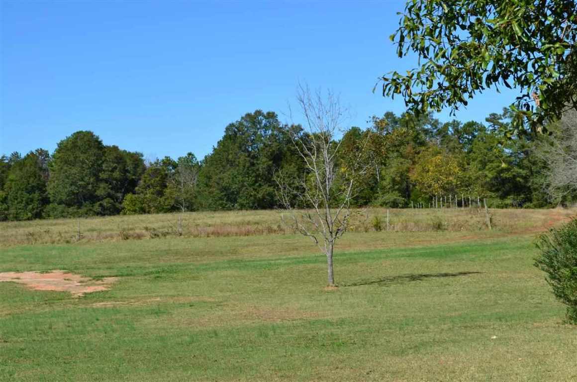 172-188 McCall Road, Unit HWY 252 Honea Path, SC 29654 - Photo 13 of 14 Gallery Image 13