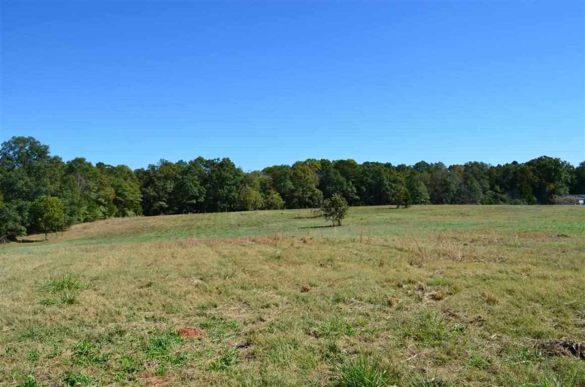 172-188 McCall Road, Unit HWY 252 Honea Path, SC 29654 - Photo 2 of 14 Gallery Image 2
