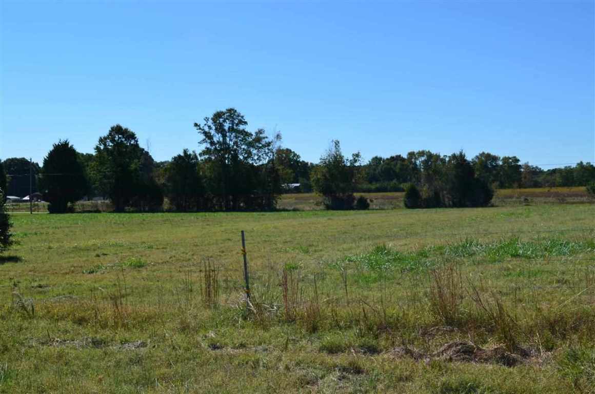 172-188 McCall Road, Unit HWY 252 Honea Path, SC 29654 - Photo 4 of 14 Gallery Image 4