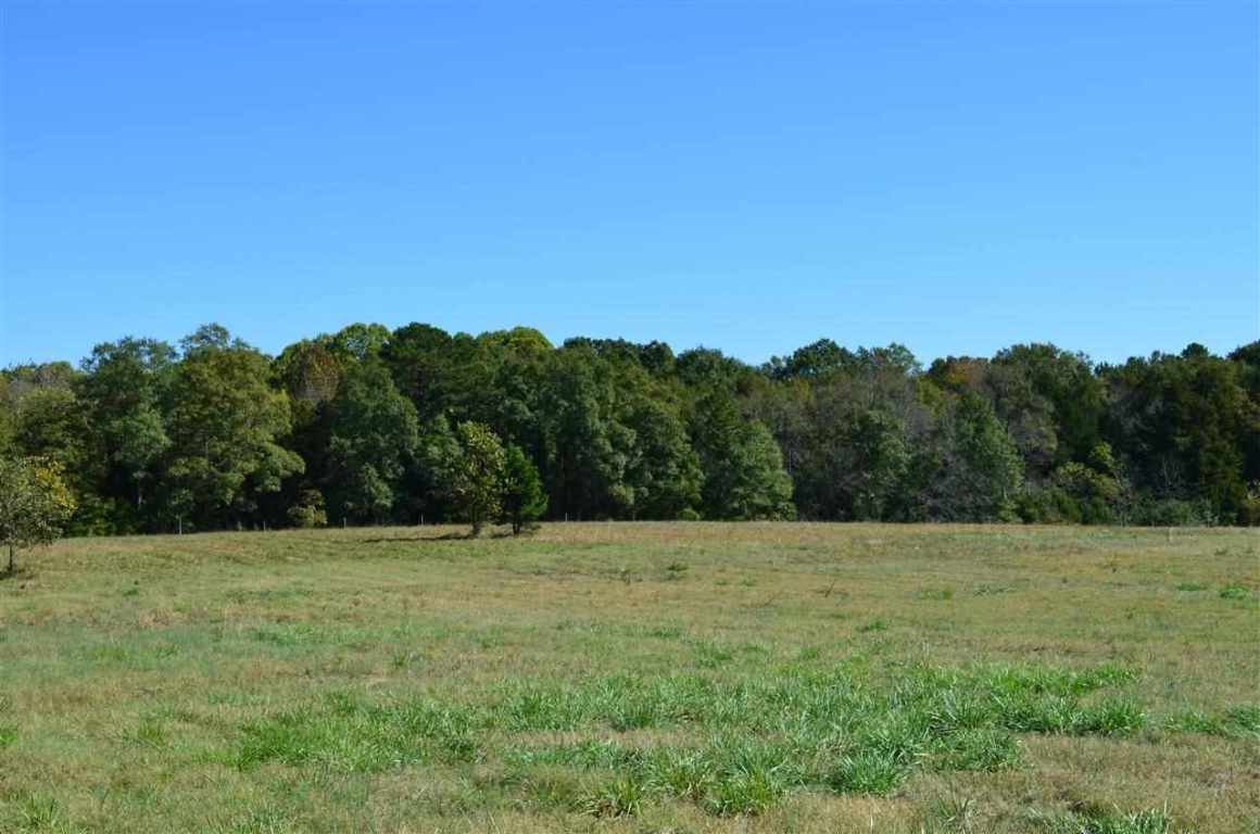 172-188 McCall Road, Unit HWY 252 Honea Path, SC 29654 - Photo 6 of 14 Gallery Image 6