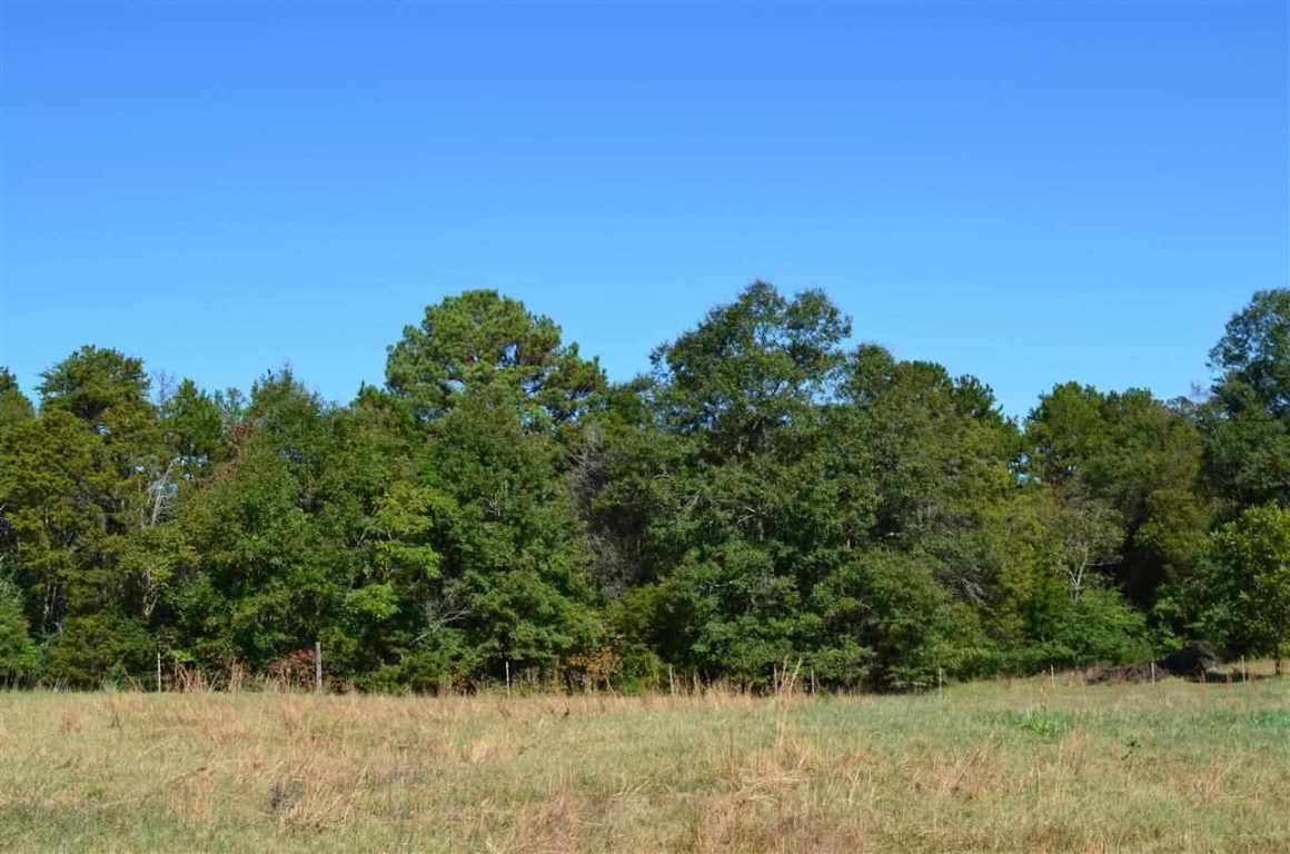 172-188 McCall Road, Unit HWY 252 Honea Path, SC 29654 - Photo 7 of 14 Gallery Image 7